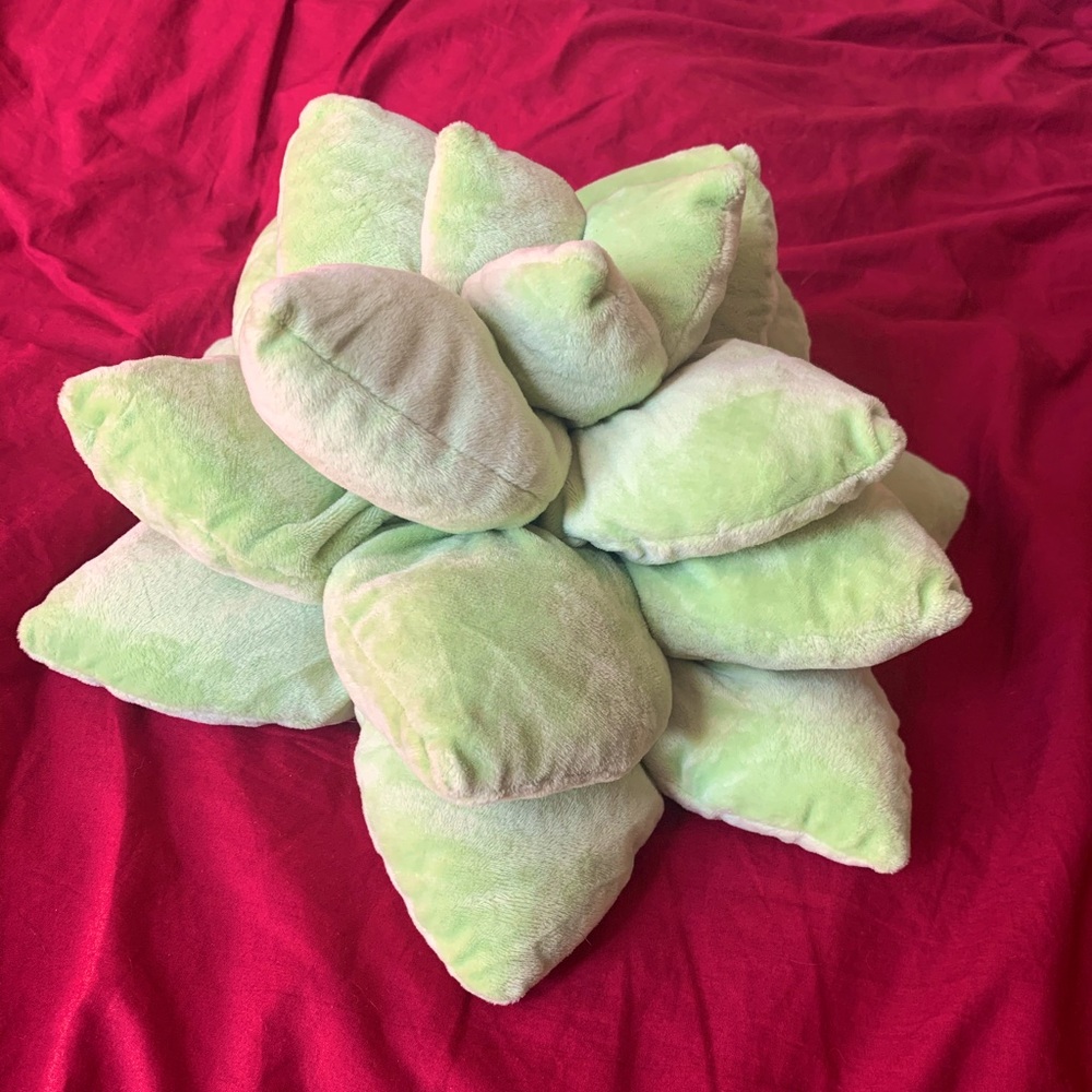 Succulent Pillow